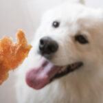 DOG FRUITS-02