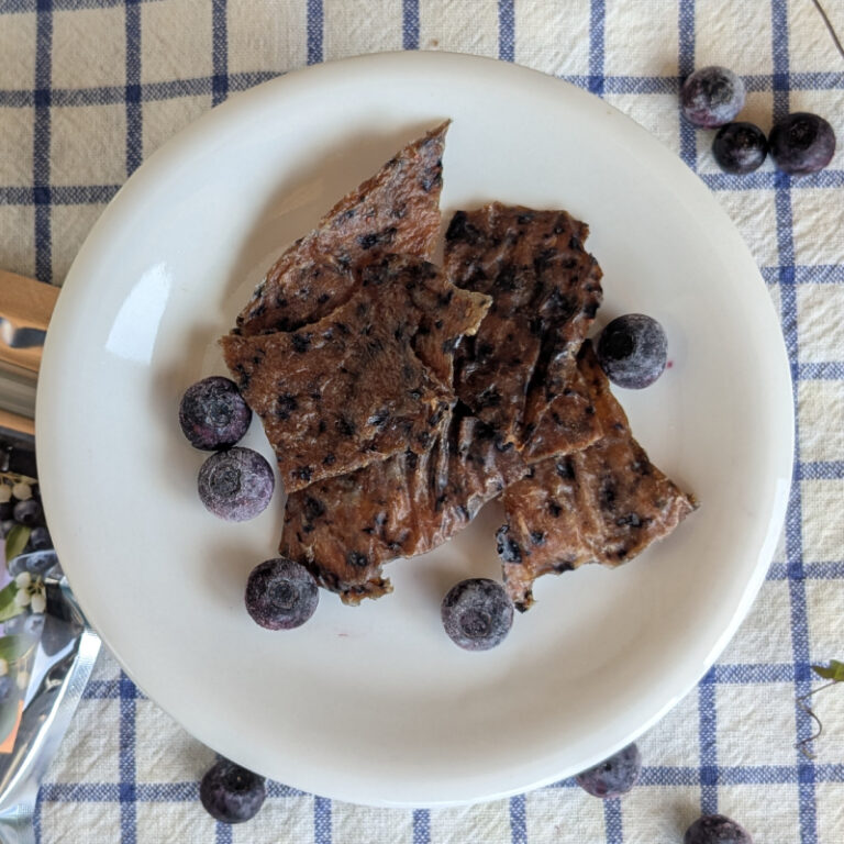 BLUEBERRY_JERKY
